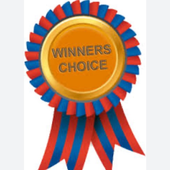 Winner’s Choice - All NEW - Seven bags to choose from - Picture 1 of 17